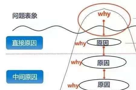 why改同义句