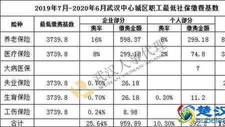 湖北省直社保个人缴费历年基数