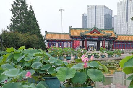 昆明莲花池公园坐几号地铁