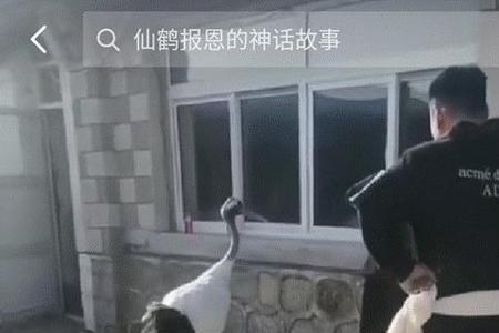 驾鹤仙逝什么意思