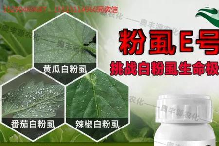 消灭飞虱最快的方法