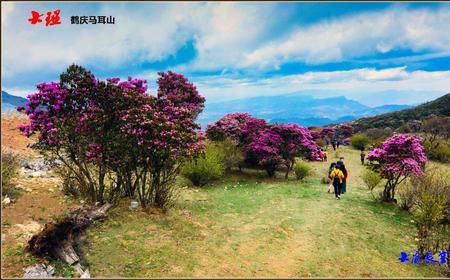 鹤庆马耳山最佳旅游时间