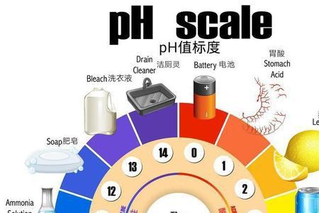 pht是什么意思