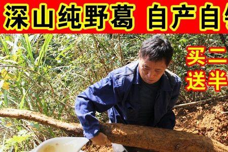 葛源野葛粉有哪些特点