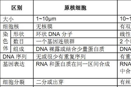 原核生物的优势和缺点