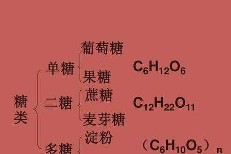 动物体内葡萄糖的储存形式