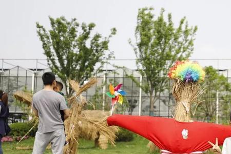 如何有效地利用开心农场的秸秆