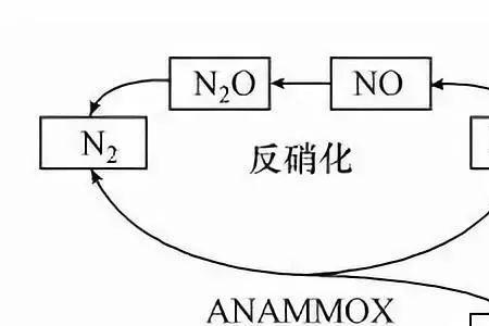 反硝化脱氮反应方程式