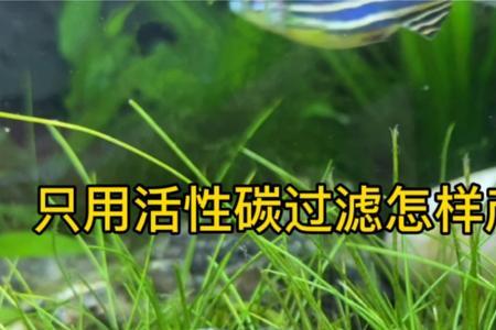 物理过滤和生化过滤区别