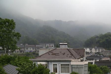 梦幻西湖龙井区怎么样