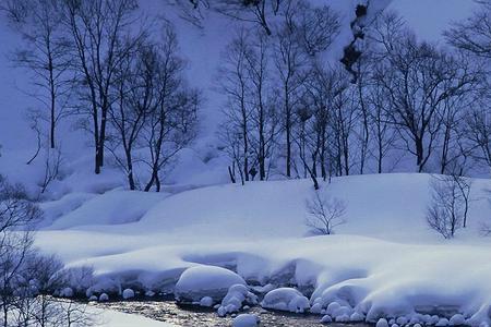 冰天雪地相对应的古诗词