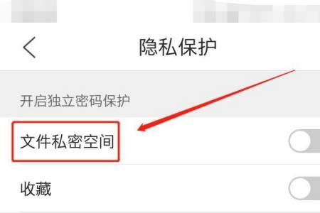 如何将文件移至隐私空间