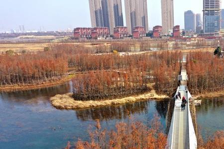 永川城西湿地公园什么时候开建