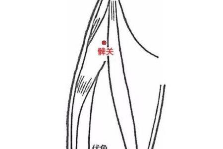 寸肠欲断的意思