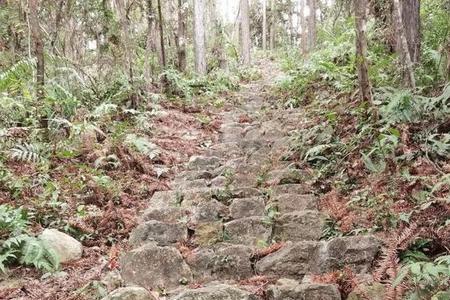 福州状元岭海拔多高