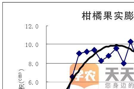 柑橘灌浆期是什么意思