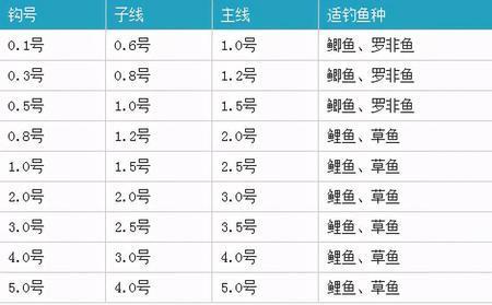 新关东3号钩夏季钓鲤鱼可以吗