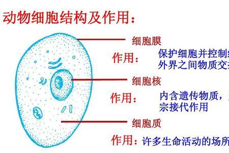 质粒是原核细胞特有结构吗