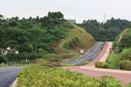 乐山市绿心路公园介绍