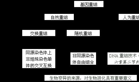 基因工程的本质是一种随机变异