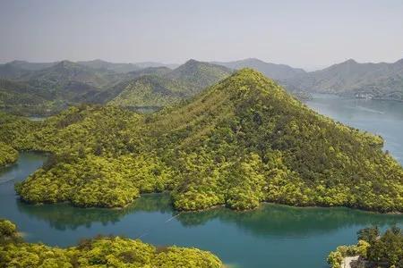 静静的太平湖主要内容