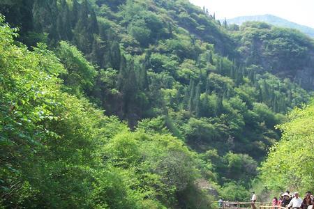 黄花溪山高多少米