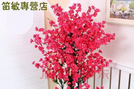 塑料花不是植物的理由是什么