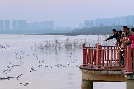 平顶山白龟湖名字由来