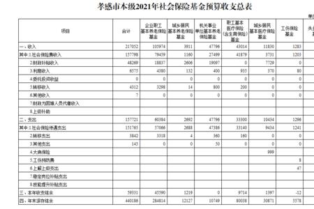 孝感社保医保怎么交