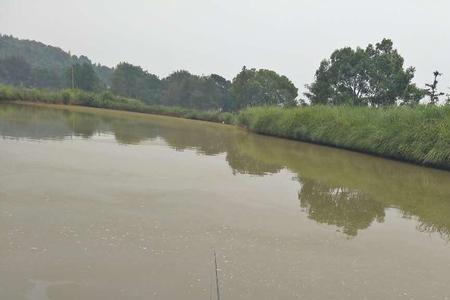 静海野钓最佳地点