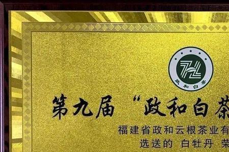 朱子茶业创始人