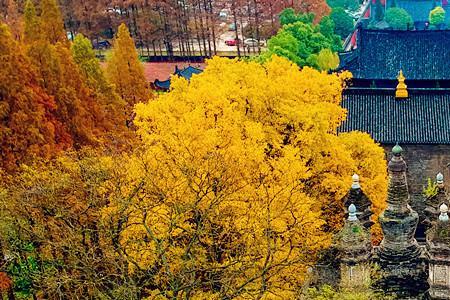 襄阳十大知名寺庙