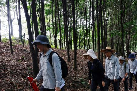 筚路褴褛栉风沐雨区别