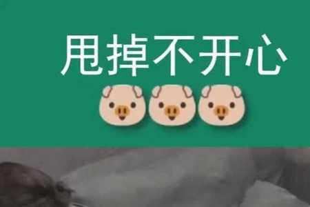 女生被猫抓了怎么安慰