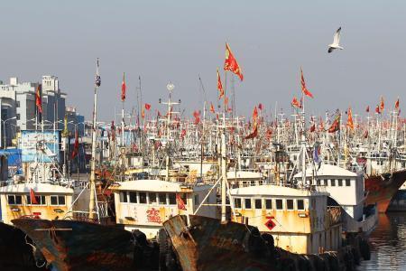 沧州沿海渔港有多少