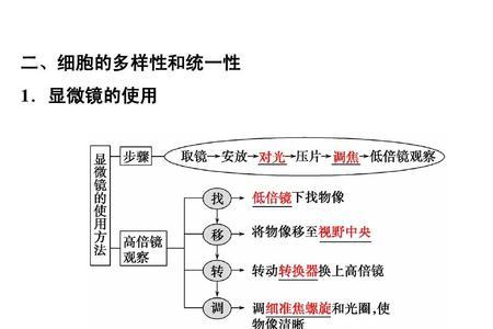 生物体结构统一性