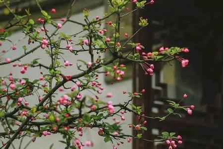 不尽风雨细如愁是什么意思