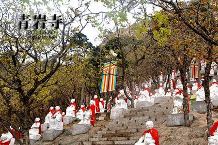 锦州青岩寺可以带宠物嘛