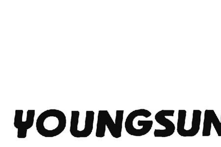 youngsun打包机是什么品牌