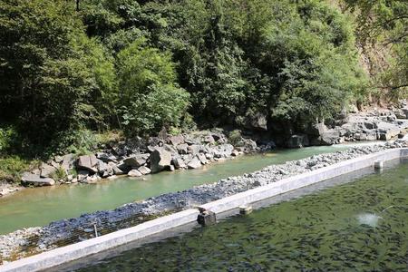 長流水养鱼的优缺点