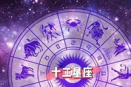 星座属于什么垂直领域