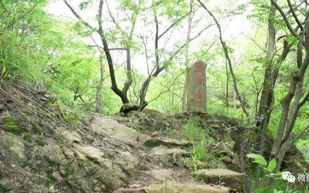 三冲巢湖源景区门票