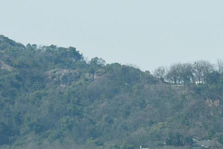 西湖坐游船上岛怎么回去