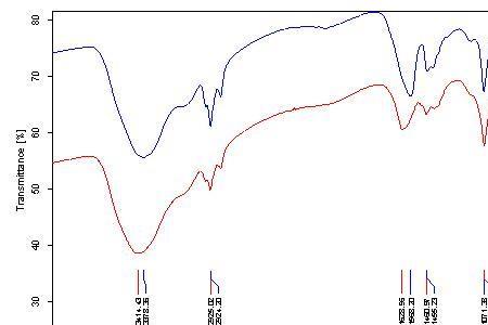 红外谱图峰面积代表什么