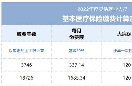 2022济南灵活就业社保缴费明细表