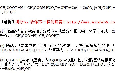 碳酸氢钠与熟石灰反应方程式