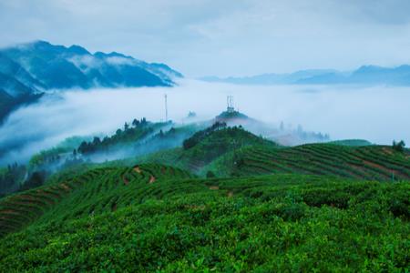 丽水高山排名