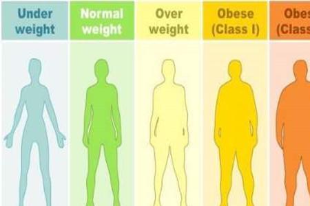 bmi18.5的体型情况