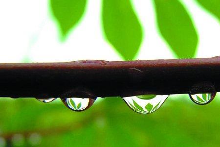 雨露滋润的成语