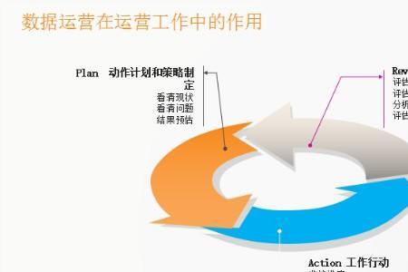 运营总监属于哪个部门